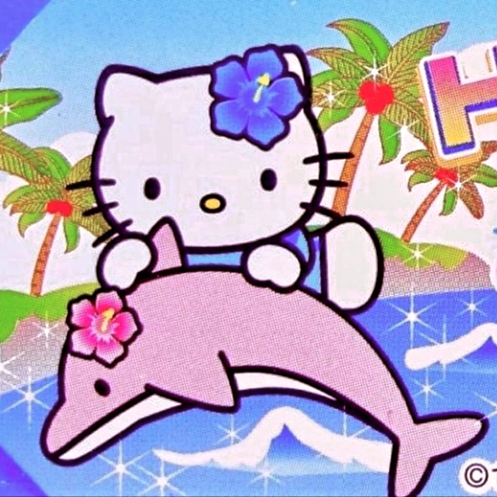 Hello Kitty with Pink Dolphin Graphic